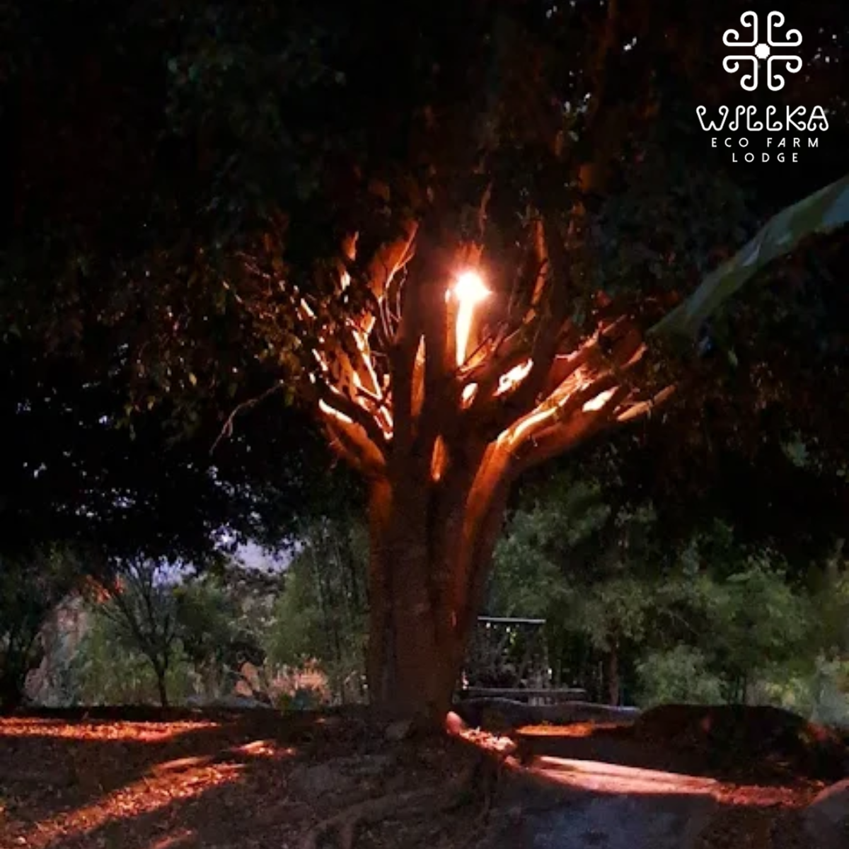 alojamiento-willka-lodge-valle-de-intag-ecoturismo-de-ecuador-13