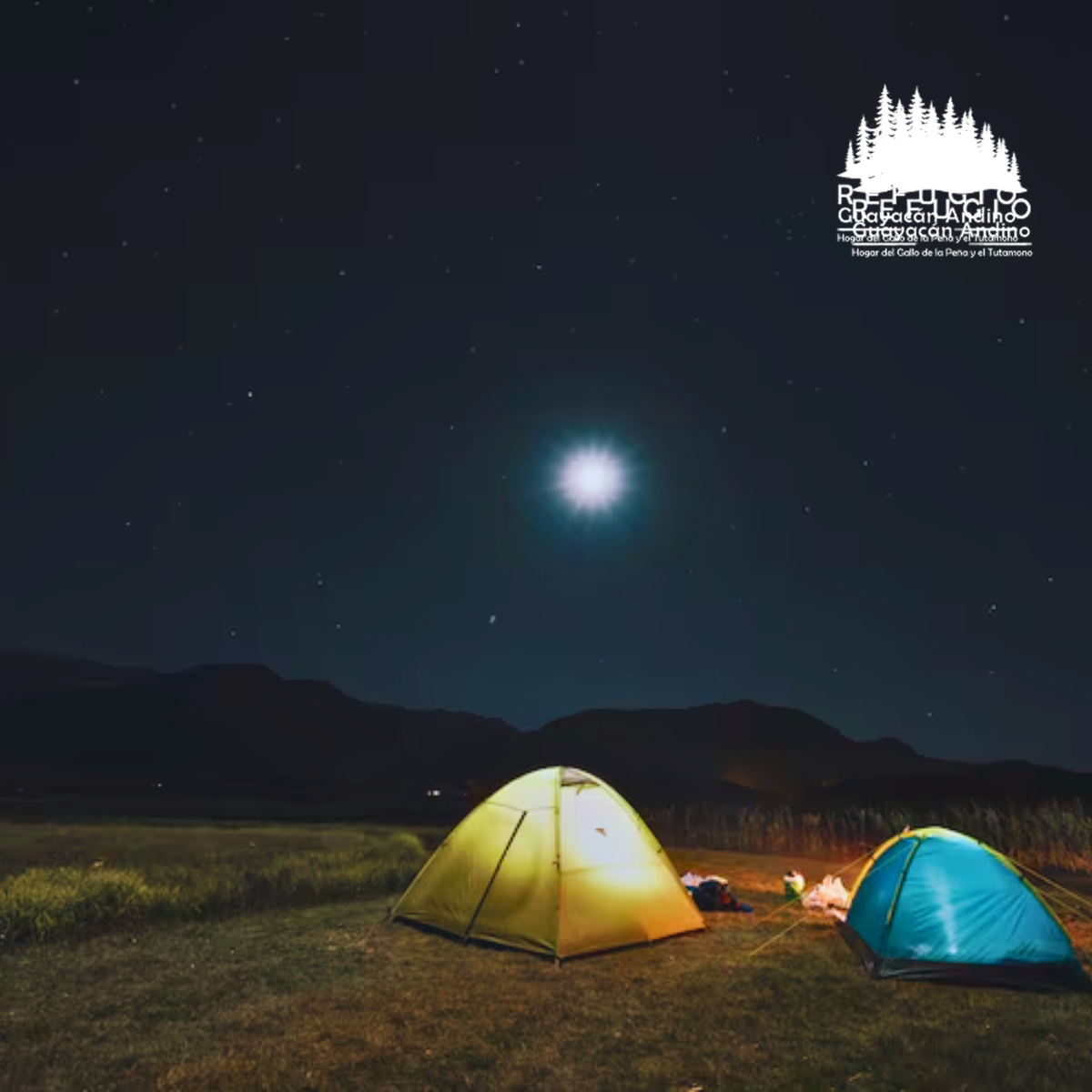 camping-intag-refugio-guayacan-andino-valle-de-intag-ecoturismo-de-ecuador