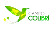 campo-colibri-valle-de-intag-ecoturismo-de-ecuador