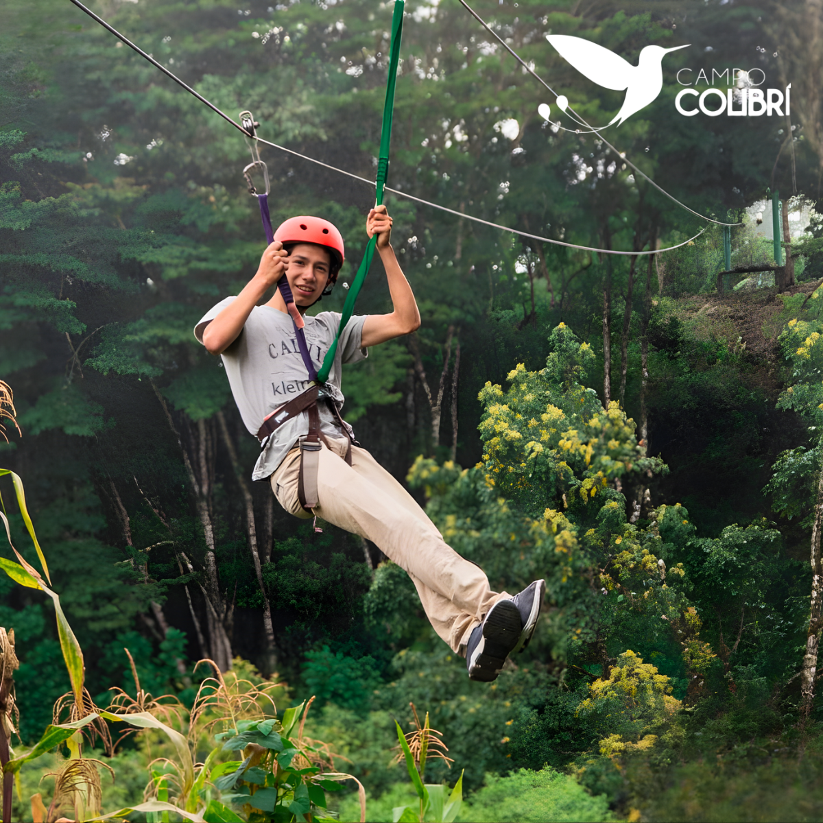 canopy-campo-colibri-valle-de-intag