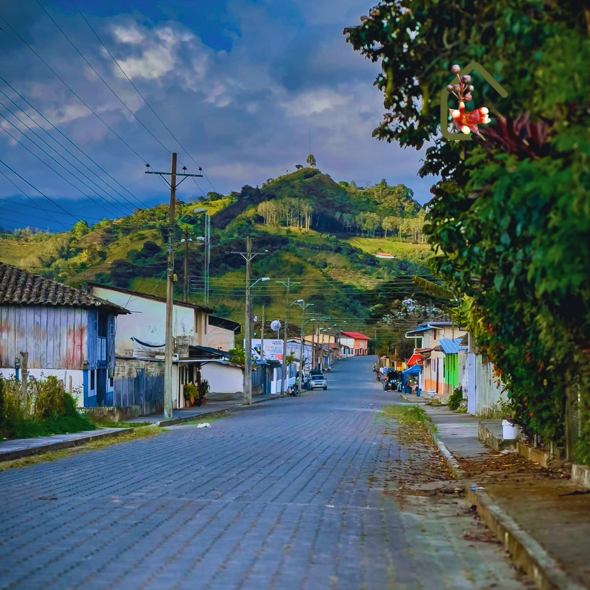 paisaje-intag-imbabura-Hostal-flor-de-zágala-valle-de-intag-ecoturismo-de-ecuador