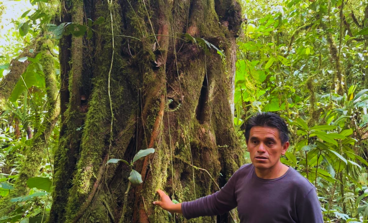 sendero-refugio-guayacan-andino-valle-de-intag-ecoturismo-de-ecuador