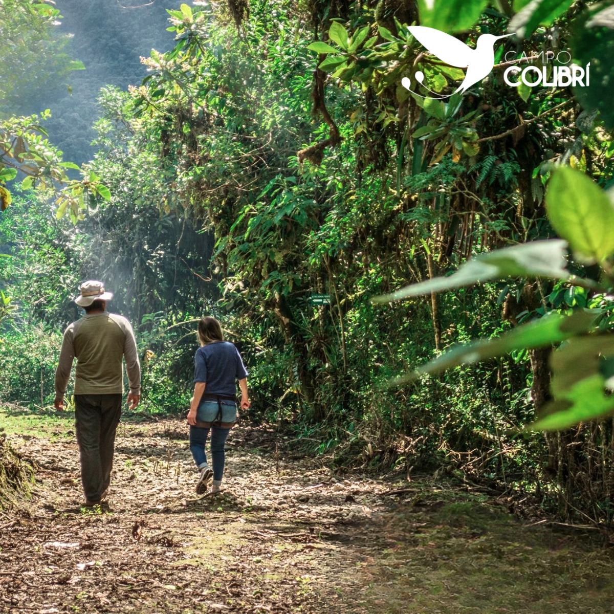 trekking-caminata-campo-colibri-valle-de-intag