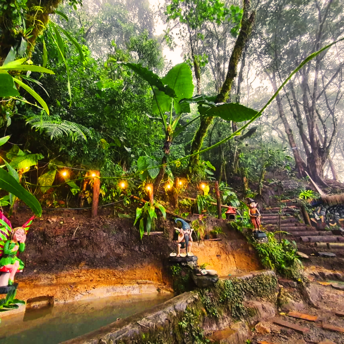 valle-verde-valle-de-intag-ecoturismo-de-ecuador-10